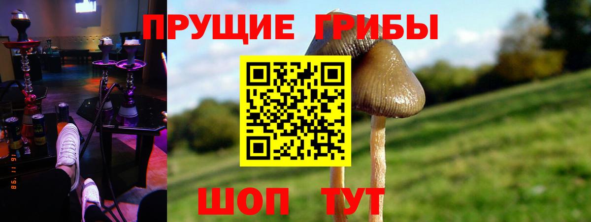 Галлюциногенные грибы Cubensis  Вход с VPN  Касимов  Галлюциногенные грибы Psilocybine cubensis 